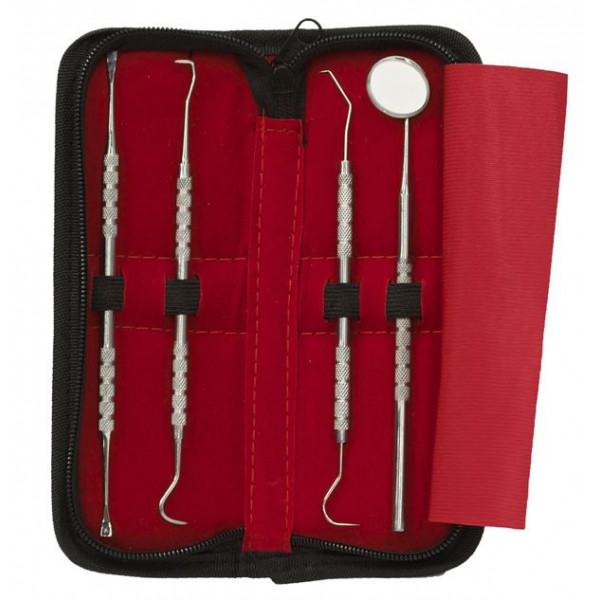 Dental Hygiejne Tandrensnings Kit - 4 dele